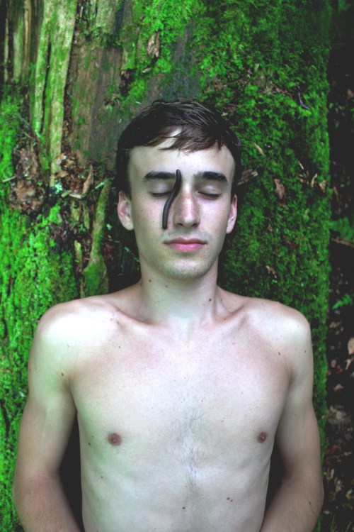 "Centipede" -- Jared Ricardo